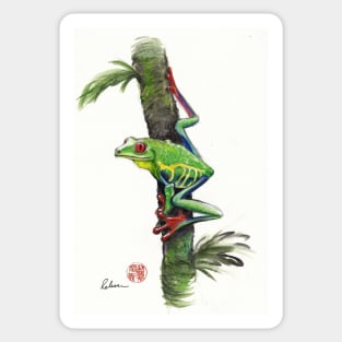 RED-EYED TREE FROG - watercolor painting Sticker